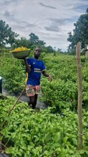 Rayana's Busura BnB - 4