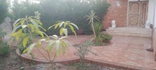 Villa on the beach- Sea View-Ground Floor with garden فيلا على الشاطئ - إطلالة على البحر - الطابق الأرضي مع حديقة - 0