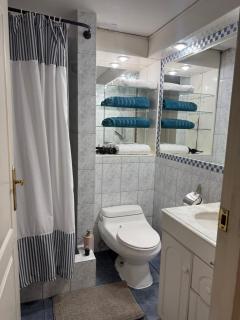 Apartamentos altos del centro Freire - 6