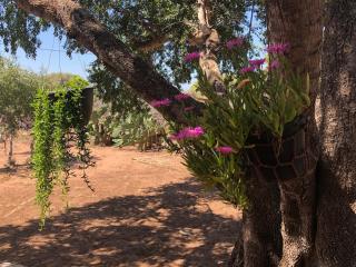 Red wooden cabin 5 pers Bedobled - 6