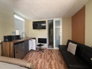 Colombiano boricua - 8