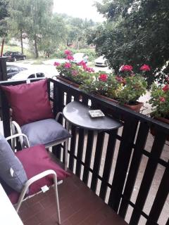 Apartments with WiFi Slunj, Plitvice - 17382 - 2