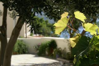 Apartments by the sea Pisak, Omis - 1004 - 3