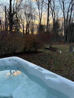 Hot tub, Sauna, fire pit, games and nature in Lake Poconos - 8