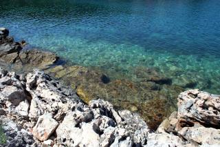 Apartments by the sea Cove Zarace - Gdinj, Hvar - 4597 - 5