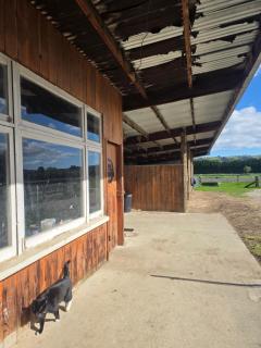 Saddleview Cottage-Horse and Trailer friendly - 2