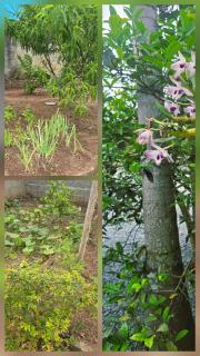 Recanto do Sossego - 8