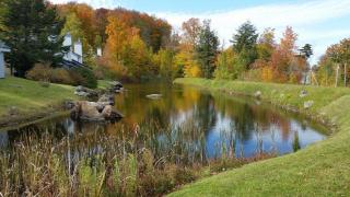 Woods Village 10 - 6