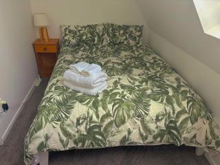 Cozy and Comfortable in Central Christchurch with Hagley Park Views - 9