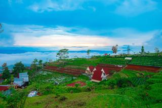 Khanzana Cabin and Camp Telaga Menjer - 7