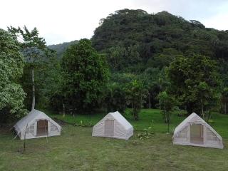 Moorea camping Valley - 2