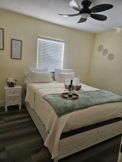 Palmera House in Tampa with Hot Tub 10 minutes from Airport & Busch Gardens - 8