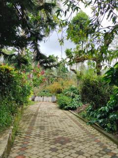 Cozy 1BKH House in a Coffee Estate in Chikmaglur - 5