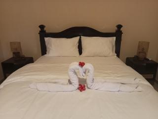 Bagus ayu Lovina homestay - 4