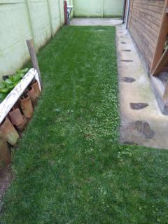 Cabañas Sol de Buchupureo - 7