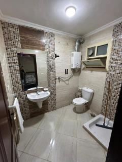 الشيخ زايد - 9