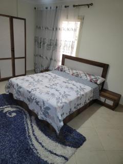 الشيخ زايد - 7