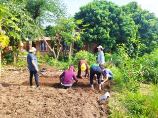 Mountain View Eco Farm - 3