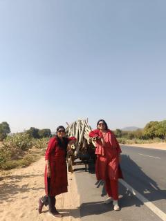 IRWINA-In rhythm with nature - 2