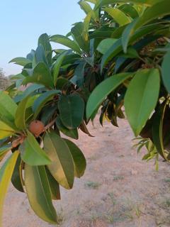 IRWINA-In rhythm with nature - 1