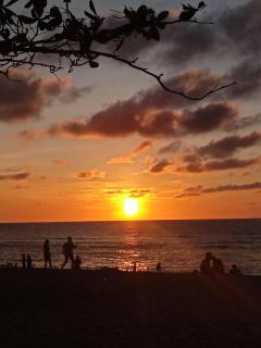 Elling's Patar Place - 1