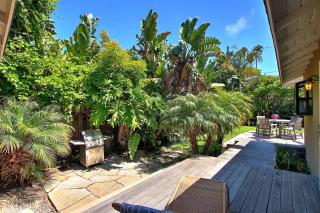 Little Palm Cottage - 3