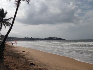 Cafe Nikos Resto Bar Beach Cottages & Rooms - 1