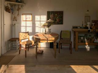 Historic Manor House At Gelskov Estate - 7