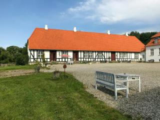 Historic Manor House At Gelskov Estate - 2