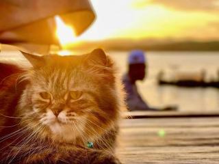 Bankruchaem Homestay Kohpu - 1