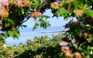 Hotel Les Boucaniers - 0