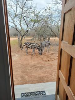 One Eight Seven on Moepel - 5