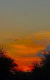 One Eight Seven on Moepel - 2