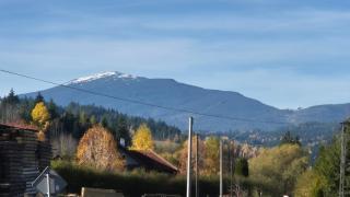 Relaks Nad Potokiem - 6