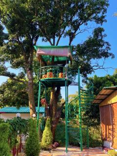 Hotel O Royal Tree Cafe And Resort - 0