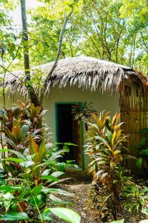 Love Shack Hostel & Cafe - 5