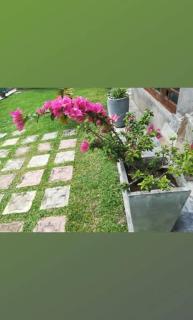 Elephant View Hotel - 2