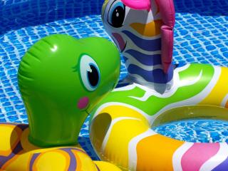 Basque Palace, Mansion con Jardín, Barbacoa, Gimnasio, Piscina, Sauna - 4