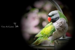 Chengdu Qionglai Shouzhuo Homestay - 7