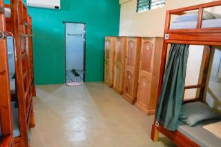 Love Shack Hostel & Cafe - 8