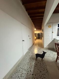 CASA GAMA Your spring in Medellín - 3