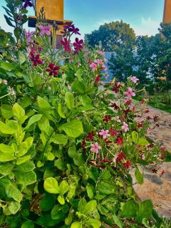 Lake Breeze Cabana - 1