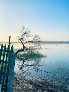 Lake Breeze Cabana - 2