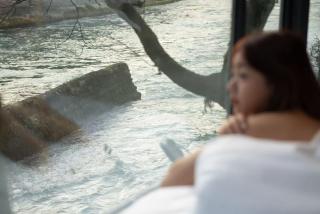 Yinshi Yunshe Private Hot Spring Villa in Dujiangyan - 1