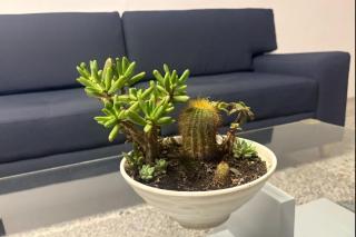 CASA GAMA Your spring in Medellín - 8