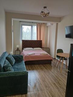 Bagebi 45 Apartment - 0