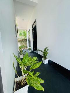 Adorable Guest House - 1