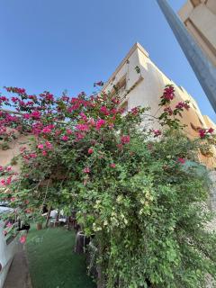 دار اليقين - 3