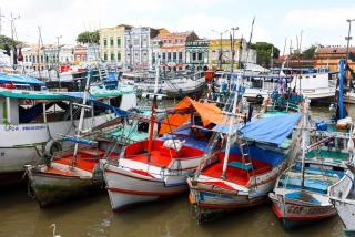 Cobertura Exclusiva no Centro de Belém - 4