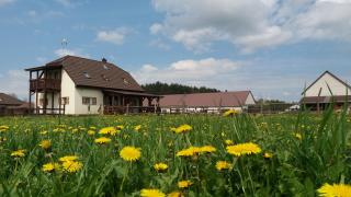 Apartamenty Swojskie Klimaty - Trześcianka - 2